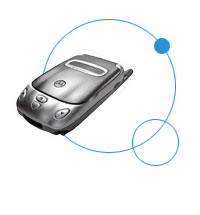 Ħ������388�ֻ��ܾ������и���