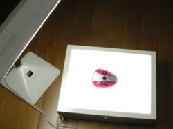 ʹ����������������������͸������